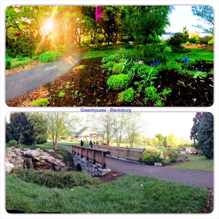 صور من مدينة بلاكسبورغ بولاية فرجينيا