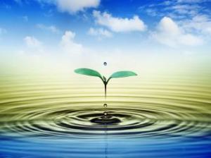 أجمل_ما_قيل_عن_الحياة