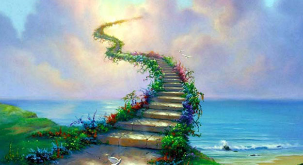 314194_dreambox-sat.com